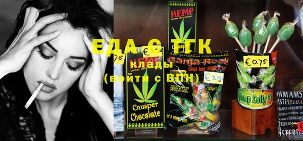 дживик Верхний Тагил